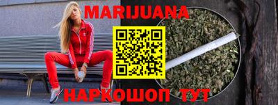 гашик Моздок