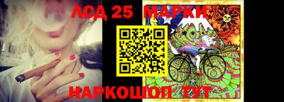 гашик Моздок