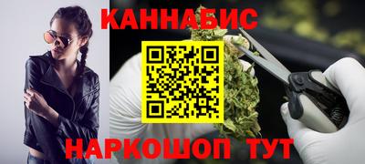 гашик Моздок