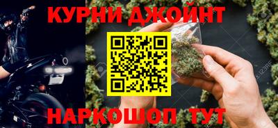 гашик Моздок