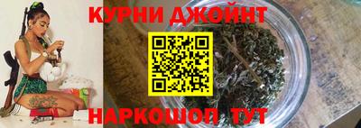 гашик Моздок