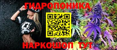 скорость Можга