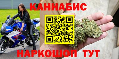 гашик Моздок
