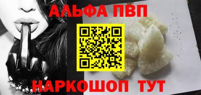 гашик Моздок