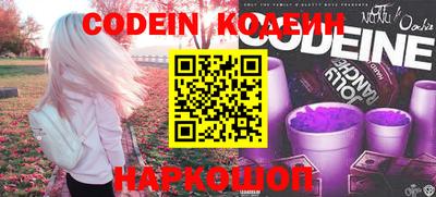гашик Моздок