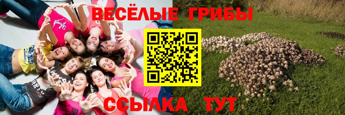 Alpha PVP Электросталь