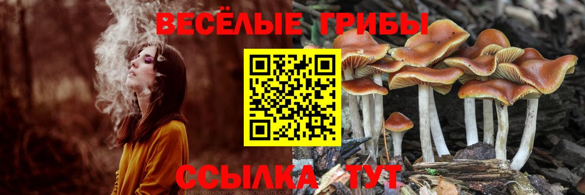 наркотики  Галлюциногенные грибы Cubensis  Вход с VPN  Электросталь 